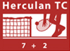 Покрытия теннисных кортов Herculan ТС 7+2