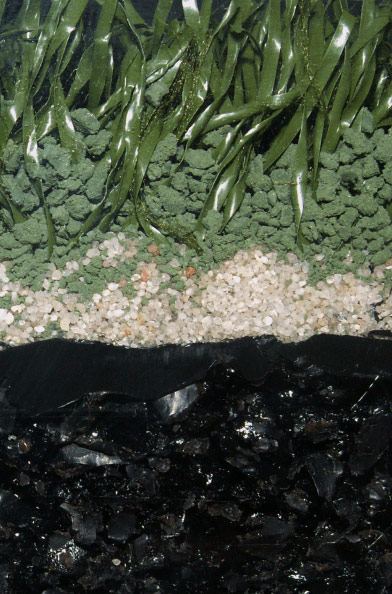 Искусственная трава | искусственный газон | синтетическое покрытие Украина Днепропетровск Киев спортивные покрытия